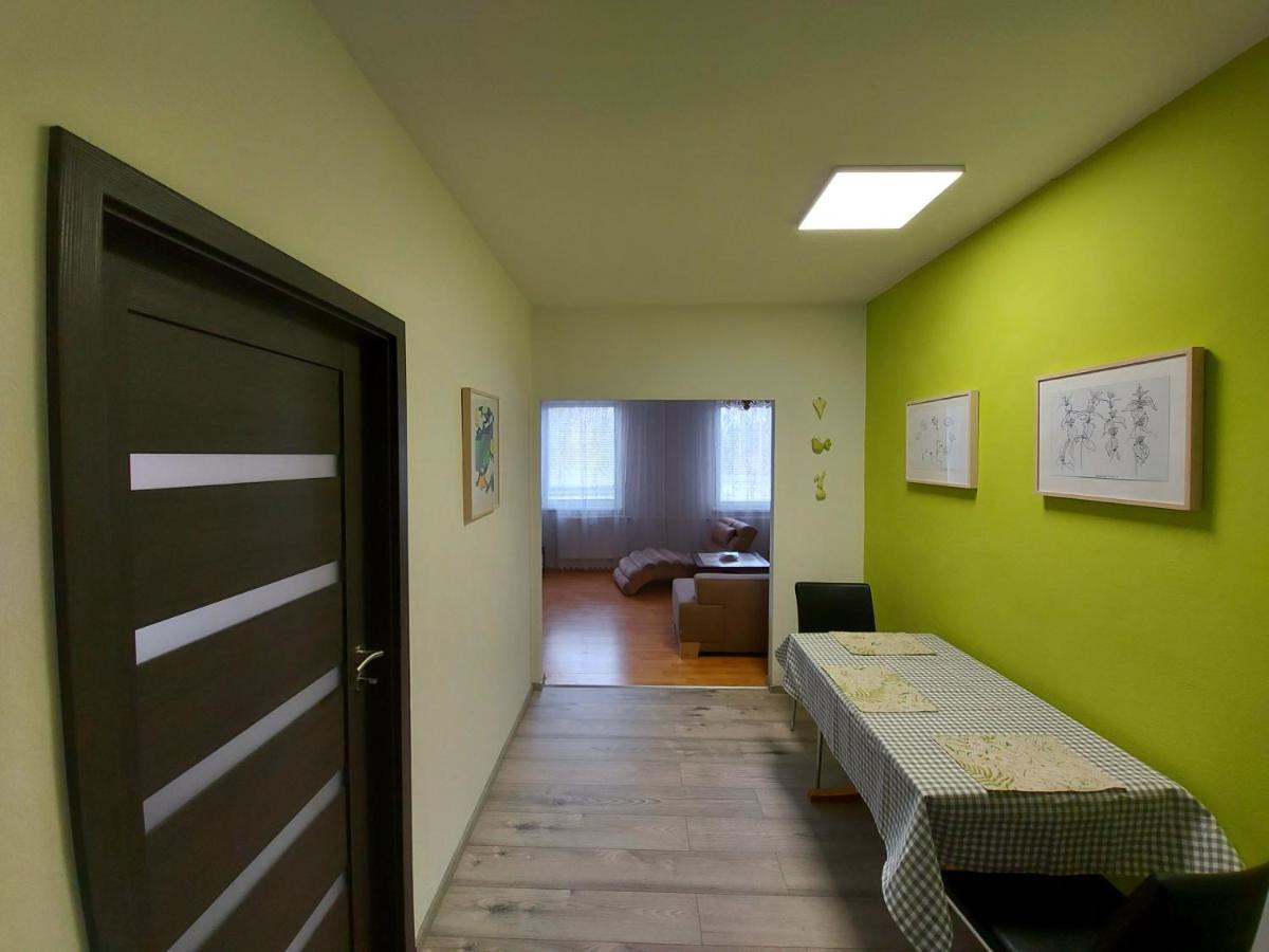 Apartman Eva - Plne Vybaveny Byt - Týn nad Vltavou Dış mekan fotoğraf